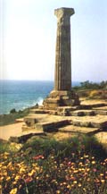Capo Colonna: resti del tempio di Hera Lacinia.
