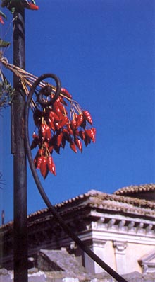 Colori calabresi.