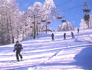 Gambarie d'Aspromonte: Piste da sci