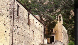 Caulonia: