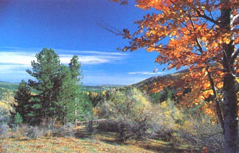 Aspromonte: Colori d'autunno