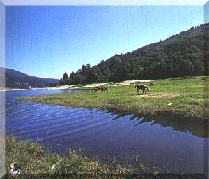La Sila: Sponde del lago Ampollino
