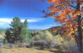 /album/galleria-fotografica/aspromonte-jpg1/