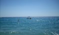/album/foto-di-siderno/mare-1-jpg/