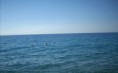 /album/foto-di-siderno/mare-3-jpg/