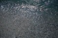 /album/foto-di-siderno/mare-5-jpg/